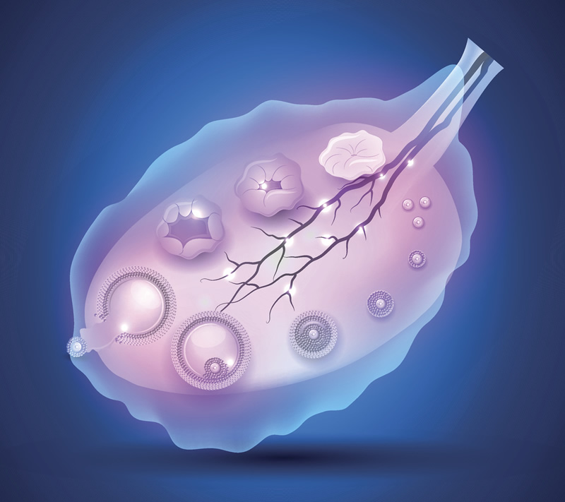 2026年单身人士能不能在清河县人民医院做试管助孕？步骤全解析！